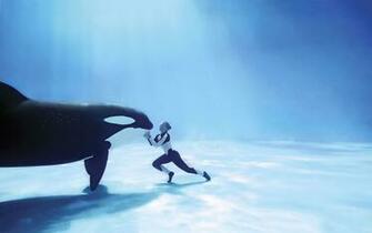 Orca Desktop Wallpaper At Wallpaperbro