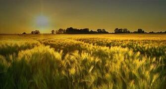 Bing Wallpaper Archive