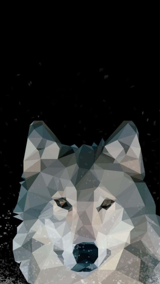 Wolf iPhone Wallpaper