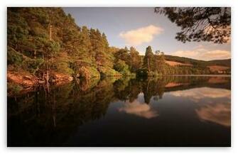Forest Lake Late Summer HD Wallpaper For Standard Fullscreen