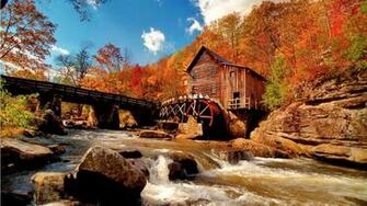 Autumn Forest Landscape