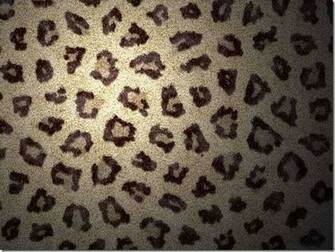 Awesome Mac Os X Snow Leopard Wallpaper