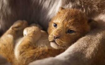 The Lion King Wallpaper High Quality