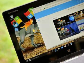 Can Unlock A New Windows Ninja Cat Wallpaper Central