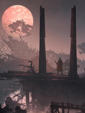Video Game Sekiro Shadows Die Twice