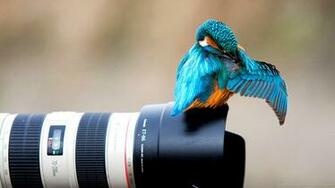 Photography HD Wallpaper Widescreen High Definition