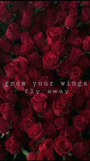 Xxxtentacion Wingriddenangel Wallpaper iPhone