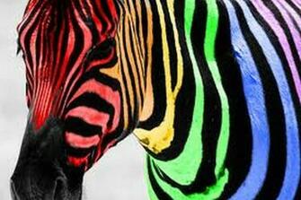 Neon Zebra Wallpaper Picswallpaper