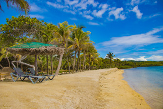 Roatan Pictures Image
