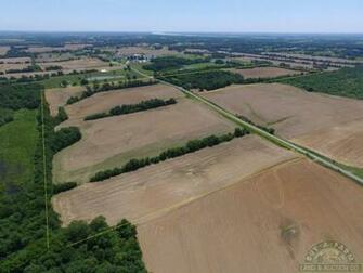 Acres Pulaski County Il Farmland And Woodland 2103bl Buy
