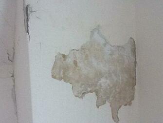 Or Wood Lath Plaster And Is There A Difference When Repairing Cracks