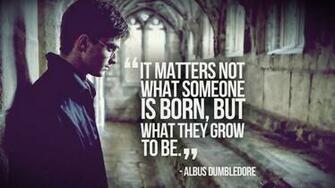 Quotes Harry Potter Daniel Radcliffe Albus