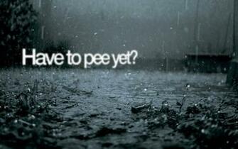 Sarcastic HD Wallpaper Background