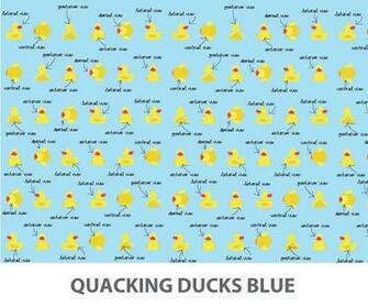 Quacking Ducks Wallpaper Pop And Lolli