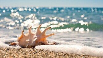 Desktop Background Beach Theme