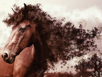 Horse Wallpaper Best Effect Artistic Background