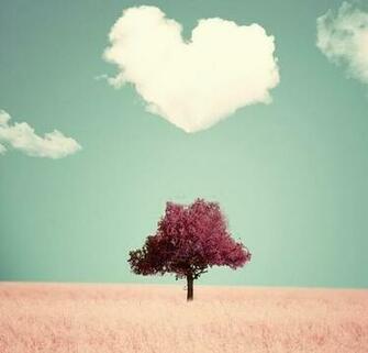 Heart Touching Love Pictures