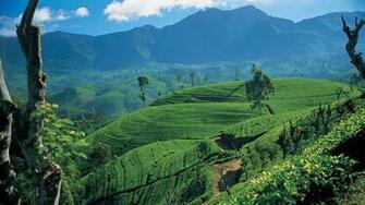 Sri Lanka Wallpaper