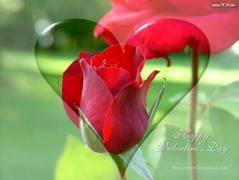 Photos And Wallpaper Valentines Day Flowers For