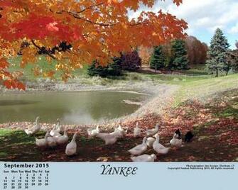 Wallpaper Desktop Photo Shared By Kiele Fans Share Uk