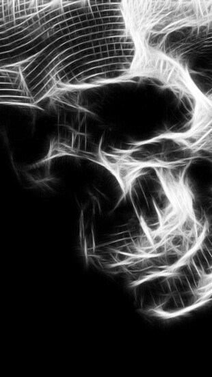 Skull Xray The iPhone Wallpaper