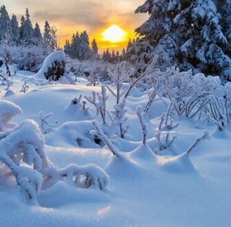 Happy Winter Solstice