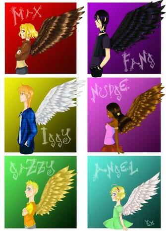 Maximum Ride Wallpaper Gallery