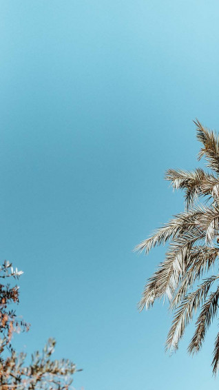 Super Fun Summer iPhone Plus Wallpaper Preppy