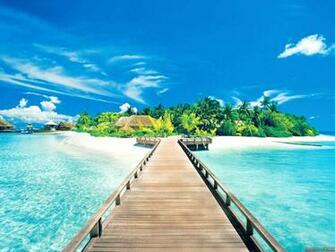 Beautiful Summer Beach Wallpaper Wallpaper13