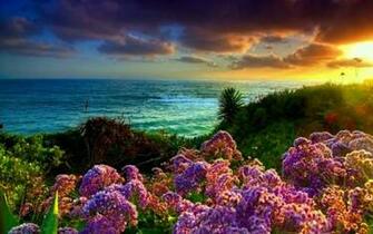 Spring Wallpaper For Desktop Designdune