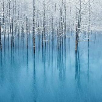 Snow Pond iPad Wallpaper iPhone