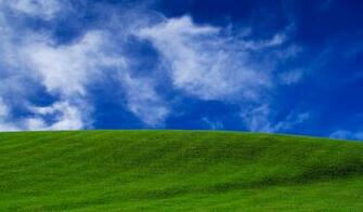 Acer Wallpaper Here You Can See Green Natural