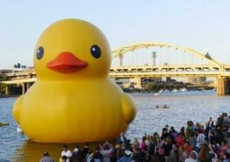 Giant Rubber Duck Wallpaper Pittsburgh