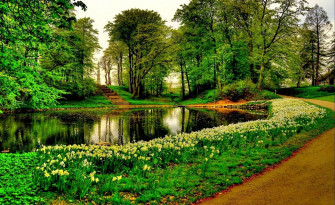 Beautiful Pond Wallpaper