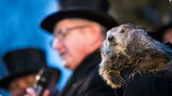 Groundhog Day Spring Is Coming Wnct