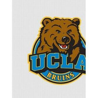 Wallpaper Fathead College Team Logos Bruins Logo