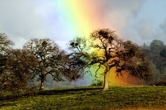 Beautiful Desktop Wallpaper Of Rainbow Oak Image