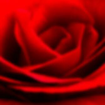Valentine Background For Adobe Photoshop Elements During Last