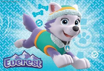 Paw Patrol Skye And Everest Ideas