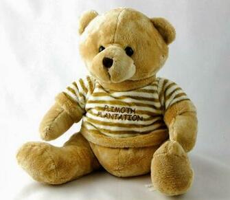 Happy Teddy Day 10th February Lovely HD Wallpaper