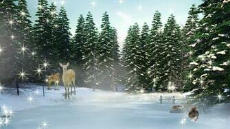 Cold Winter Night HD Wallpaper Desktop