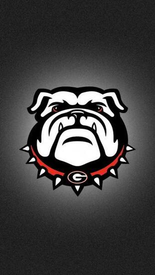 University Of Georgia iPhone Wallpaper