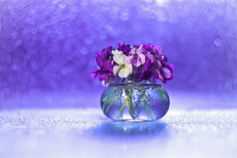 Purple Flower Bokeh Vase Pansy Photography Still Life Wallpaper