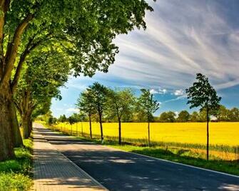 Spring Road Desktop Pc And Mac Wallpaper