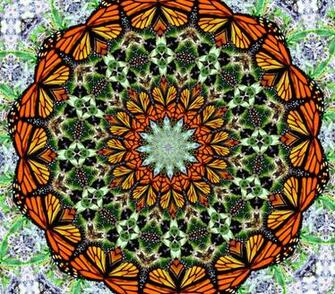 Butterfly Circle Abstract Background Textures Patterns Geometric