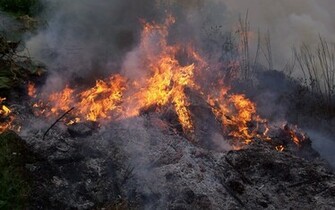 Raging Forest Fire Wallpaper Myspace Background