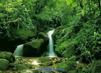 3d Waterfalls Wallpaper Jpg