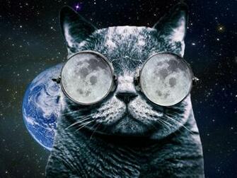 Cat Glasses Space By Stevewoods69
