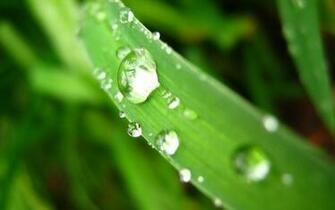 Wallpaper Rain HD Computer S