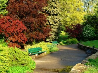 Color Wallpaper Beautiful Spring
